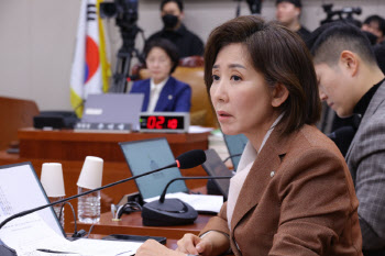 나경원 “"李대통령 ‘국민 집뺏기 엑스’ 20회 넘어…도쿄 벤치마킹해야”