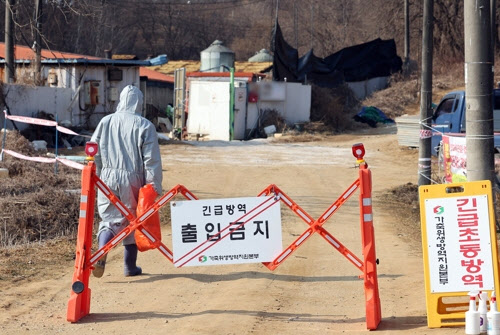 사료에서 발견된 ASF 바이러스, 경기도 긴급 사용중지