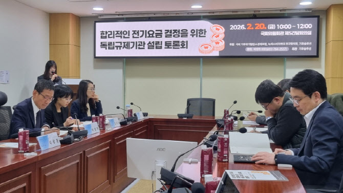 "한전 독점 끊어야 전기요금 논쟁 끝…독립규제기관 필요”