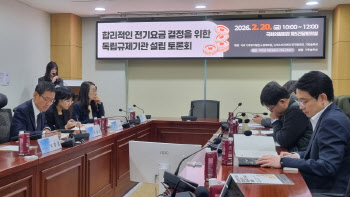 "한전 독점 끊어야 전기요금 논쟁 끝…독립규제기관 필요”