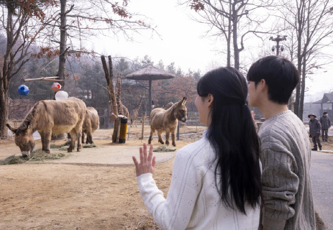 "직접 걸어서 에버랜드 로스트밸리 사파리 체험하세요"
