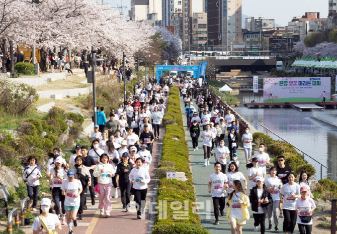 [포토] 은평 불광천 벚꽃 마라톤대회