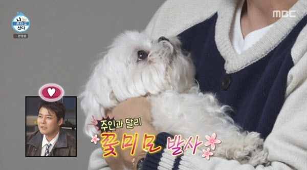 이렇게 사랑스러운데… '구성환 반려견' 꽃분이 마지막 모습 뭉클