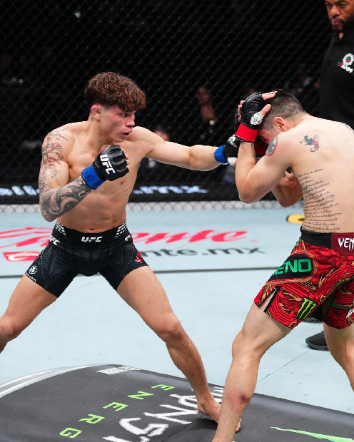 '전 UFC 플라이급 챔피언' 모레노, 또 무너졌다...'신성' 카바나에 완패