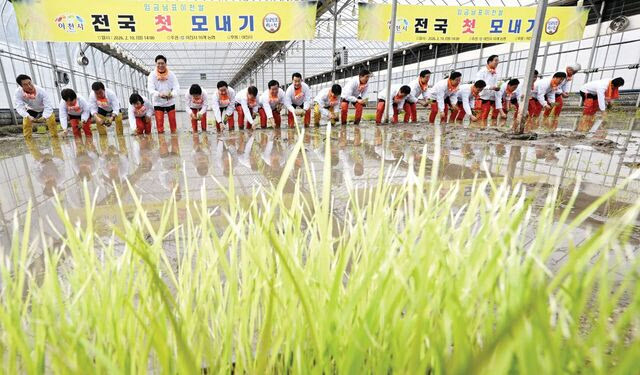 “농사 안 지으면 처분 명령” 수도권 투기위험군 정조준