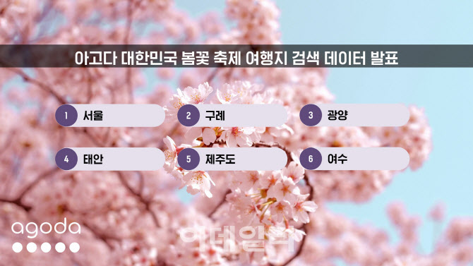 여의도 봄꽃축제에 숙소검색 225%↑…구례·광양 뒤이어 ‘증가세’