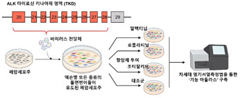 폐암 표적치료제 내성 반응 지도 구축...  맞춤형 치료 전략 근거 마련