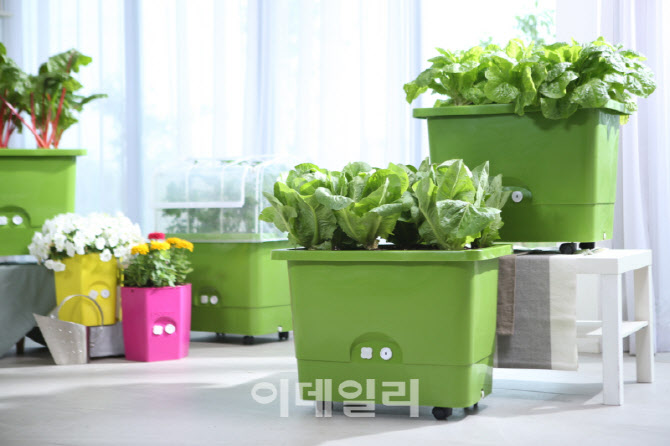 [포토] 금천구,  상자텃밭 보급사업
