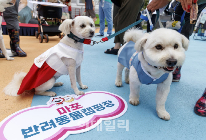 [포토] 마포구, 취약계층 우리동네 펫 위탁소