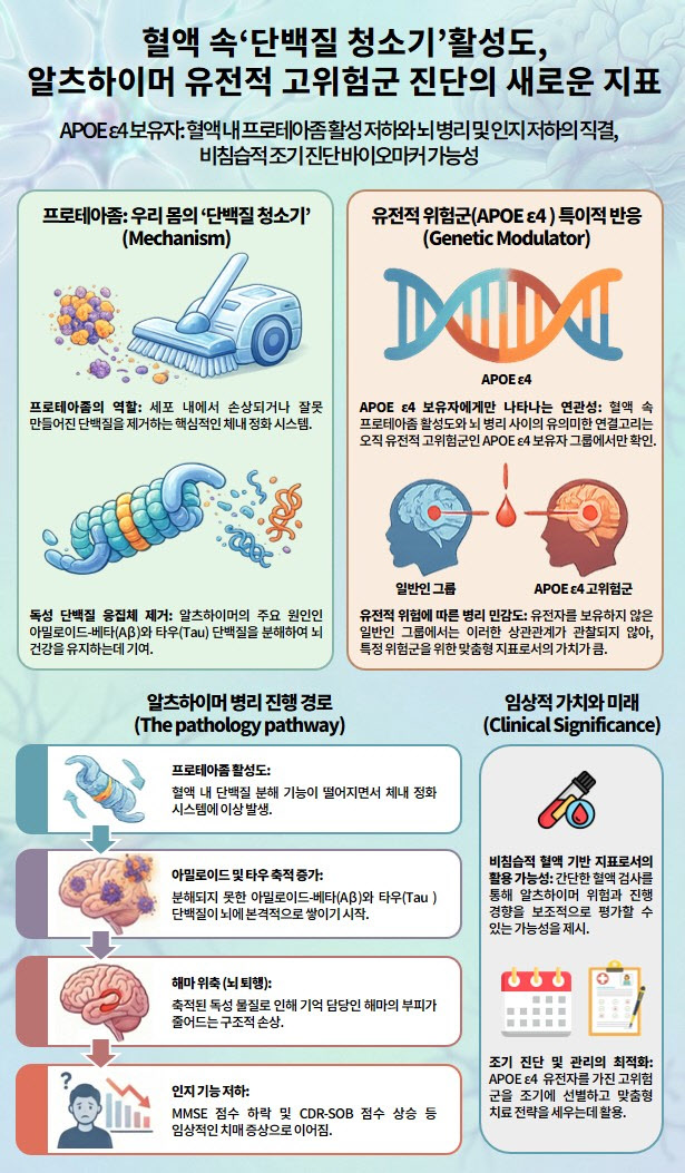혈액 속 단백질 분해 기능, 알츠하이머 고위험군에서 치매 병리와 연관