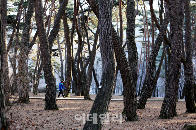 1100만 영화 ‘왕사남’ 열풍에 영월 관광객 11만명 ‘폭발’