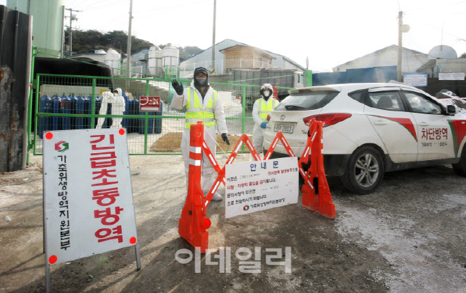 유독 잦은 가축전염병에 방역당국·축산농가 '비상'…소비자는 '울상'