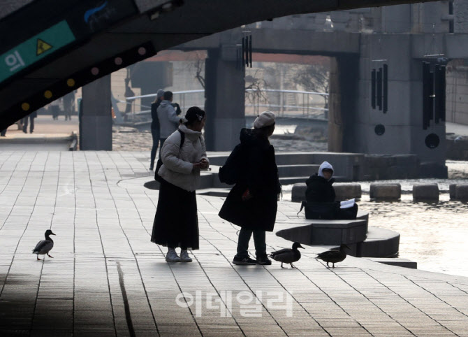 [포토] 청계천 산책