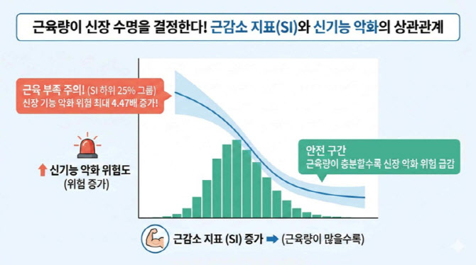 근육량 감소, 신장에 ‘치명타’…질환위험 최대 4.47배 ↑