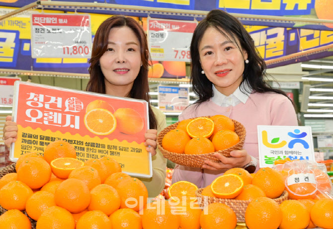 [포토] 농협유통, '청견 오렌지' 출시