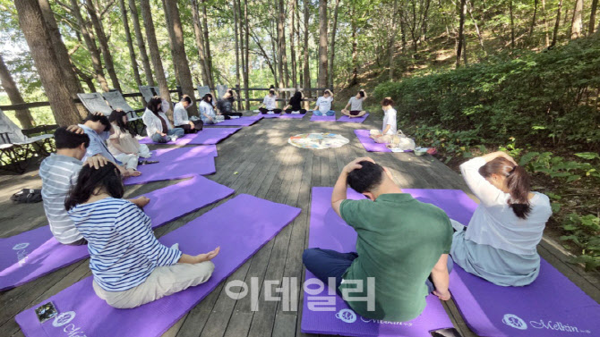 [포토] 금천구, 숲 태교 프로그램
