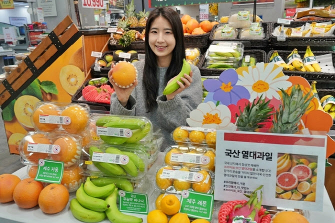 사과밭 밀어낸 'K망고'…기후위기가 바꾼 프리미엄 디저트 지도