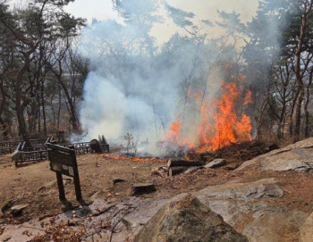 산 7곳 불지르고 "산책했다"..40대 구속 송치