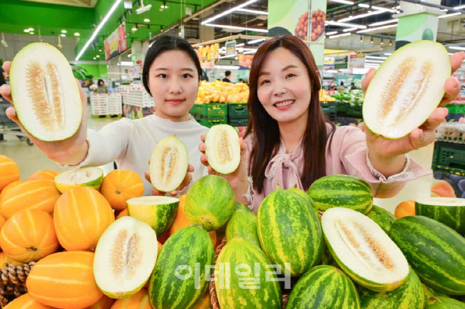 [포토] 농협유통, 파파야 멜론 출시
