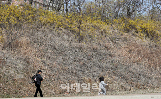[포토] 꽃피는 계절