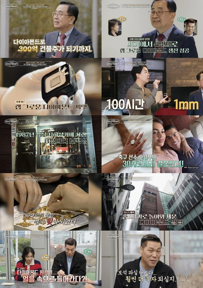 '다이아몬드 재벌' 강승기, 반도체 노린다…서장훈 "새로운 자원"