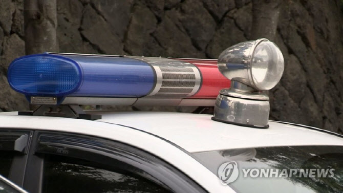 훔친 차 몰고 도주…순찰차 들이받은 10대 검거