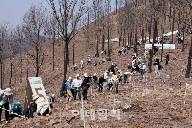 [포토]유한킴벌리, '우리강산 푸르게 푸르게 2026 신혼부부 나무심기'