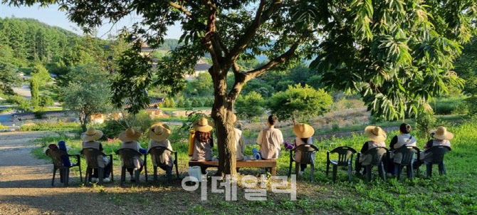 “일상에 쉼표를”…템플스테이 열차, 중앙선으로 확대