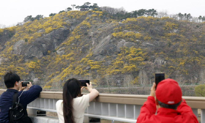 [포토]시민들 발길 사로잡는 봄
