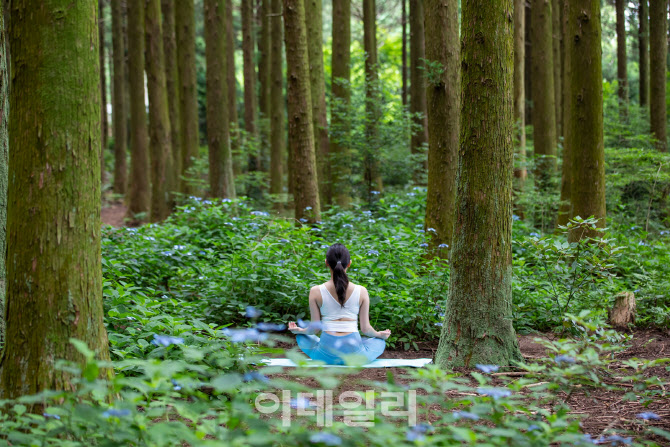 하이원리조트, 우수 웰니스 관광지 4회 연속 선정