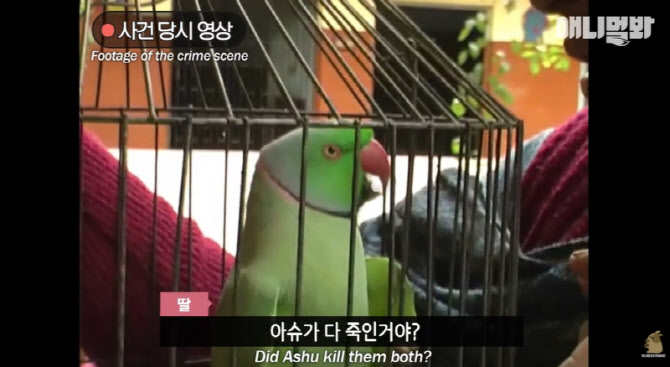 “범인은 당신이야!”…살인범 잡은 앵무새 ‘미투’ [그해 오늘]