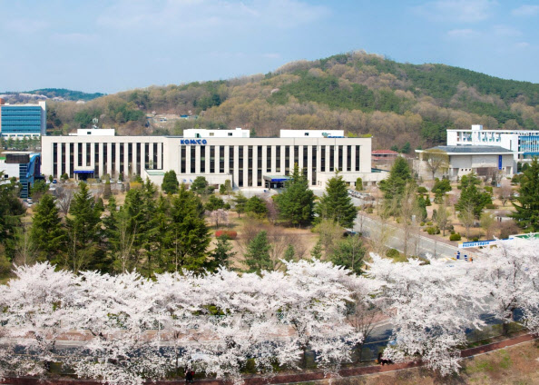 조폐공사, 벚꽃 페스티벌 취소…안전공업 화재참사 여파