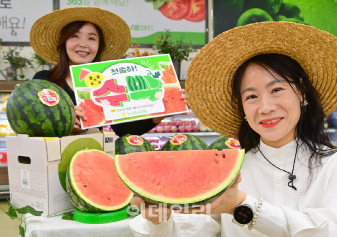 [포토] 함안 수박 출시