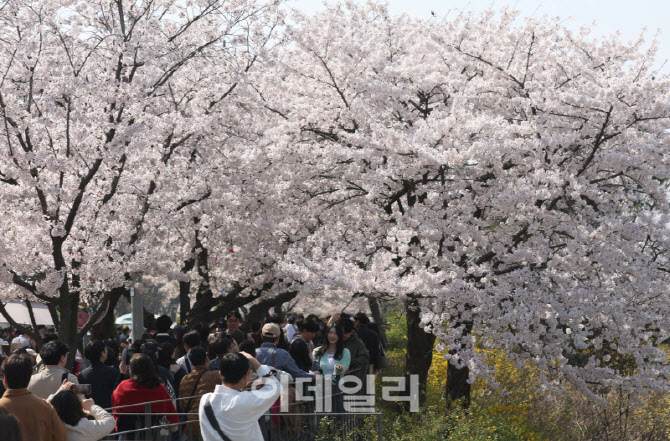 [포토]'봄향기 가득'