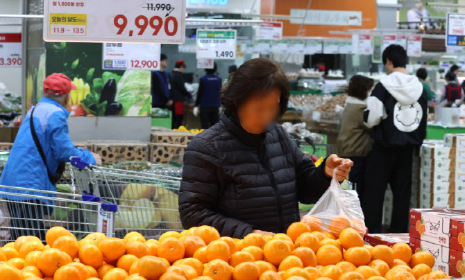 [포토]"장바구니부터 기름값까지.." 중동 전쟁 여파로 민생 부담 커져