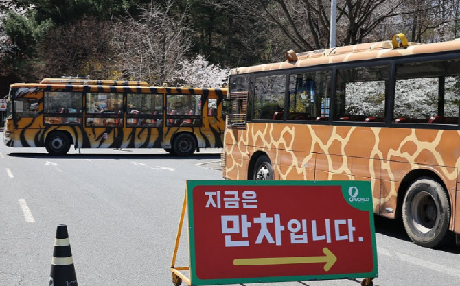 "늑대 탈출했다" 대전 오월드 동물원 비상…포획 작업 총력