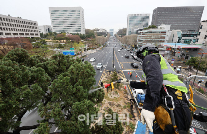 [포토] 천년향 물세척