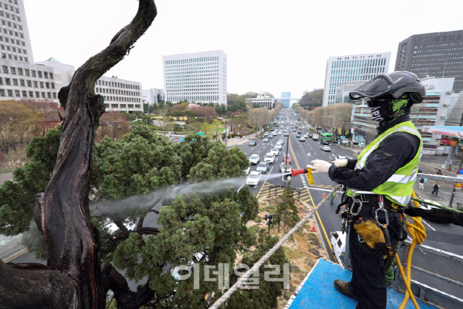 [포토] 천년향 매연 제거
