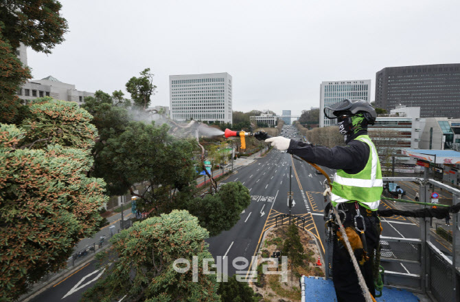 [포토] 목욕하는 천년향