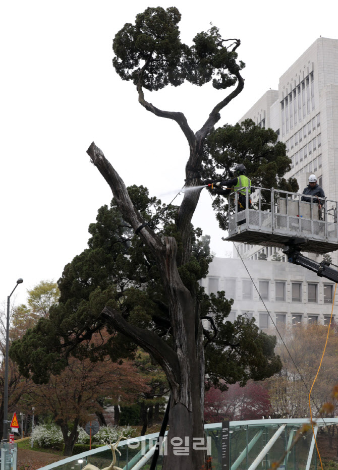 [포토] 천년향 세척 작업