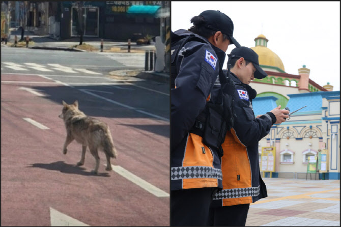 늑구 출몰 사진은 AI가 만든 이미지…재난현장의 새 복병 'AI발 가짜뉴스'