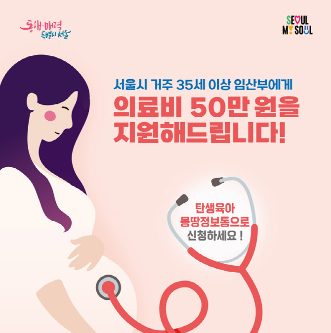 서울시, 35세 이상 임산부 의료비 최대 50만원 지원 확대한다