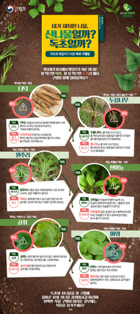 산림청·식약처 "봄철 산나물 닮은 독초 조심하세요"