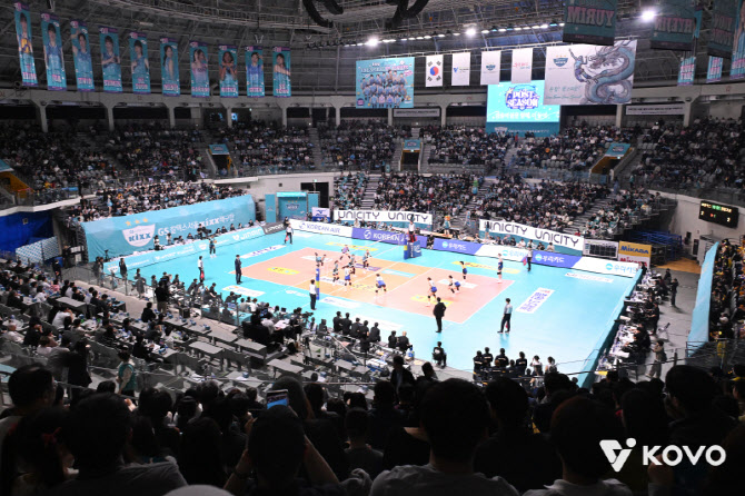 프로배구, 사상 첫 관중 63만 명 돌파... 평균 시청률도 상승