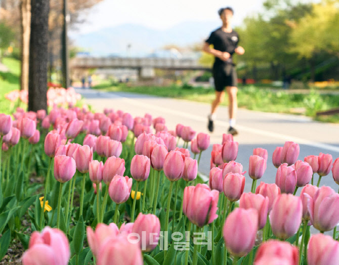 [포토] 힐링 명소 '고덕천 산책로'