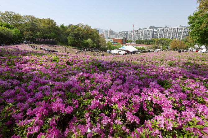 [포토]도심에서 즐기는 철쭉