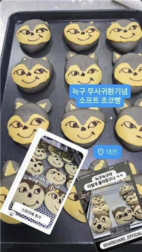 오월드 늑구 무사 복귀에 ‘늑구빵’ 인기…대전판 푸바오 될까