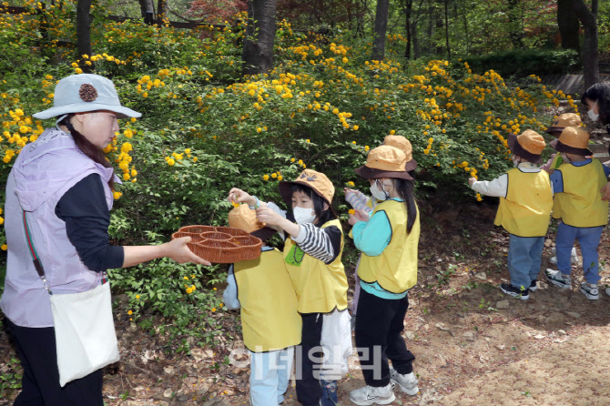 [포토] 유아숲체험원, 자연물감 만들기