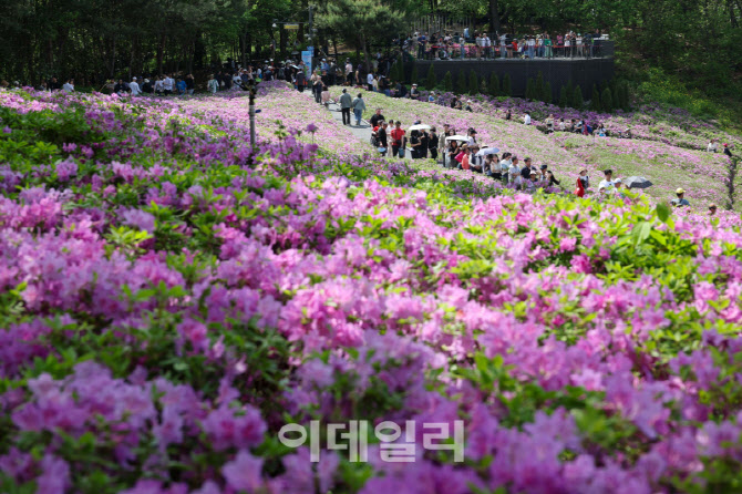 "나들이 가기 좋아요"…이번 주말 맑고 포근 `최고 25도`