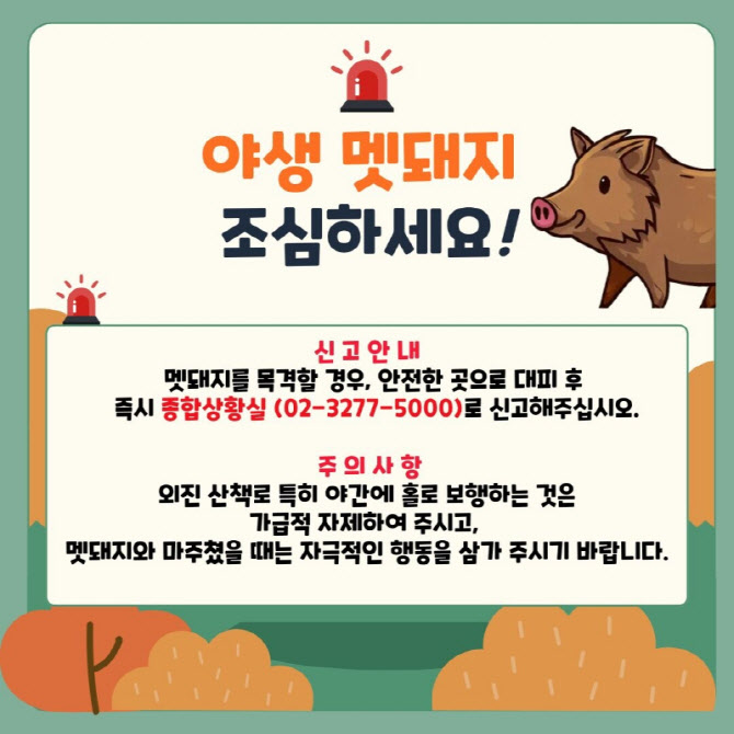 이화여대서 '멧돼지 출몰'…지자체, 포획 나서